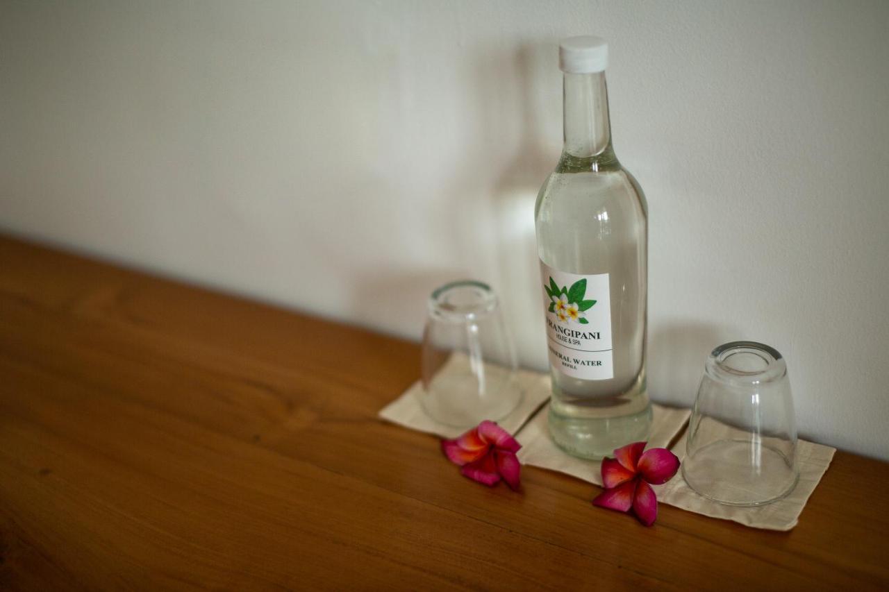 Frangipani House And Spa By Ecommerceloka ชังกู ภายนอก รูปภาพ